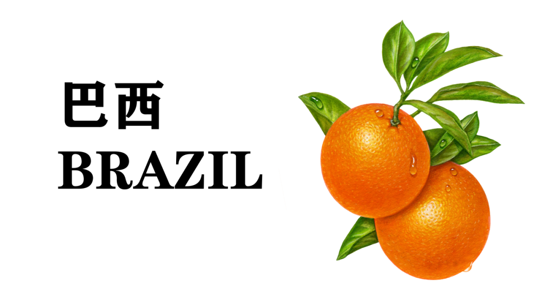 2024 Global Citrus Market Update Shared