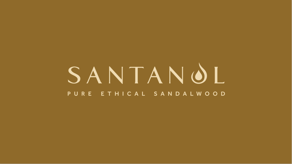 九橙实业香料品鉴会精彩回顾(3)Santanol——向善而行 创造未来